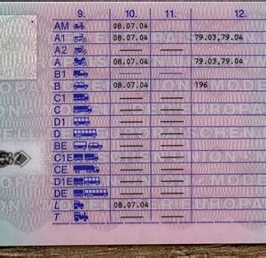 Get a Category B German driving licence online