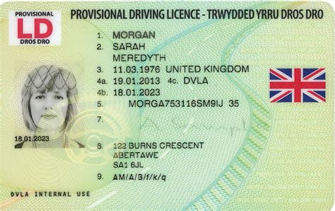 UK provisional licence